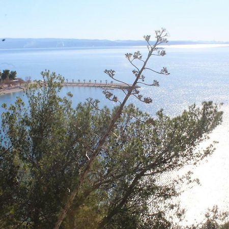 Paradise Apartment With Big Sunny Terrace In The Old Town, Few Meters From The Sea & Riva Promenade スプリト エクステリア 写真