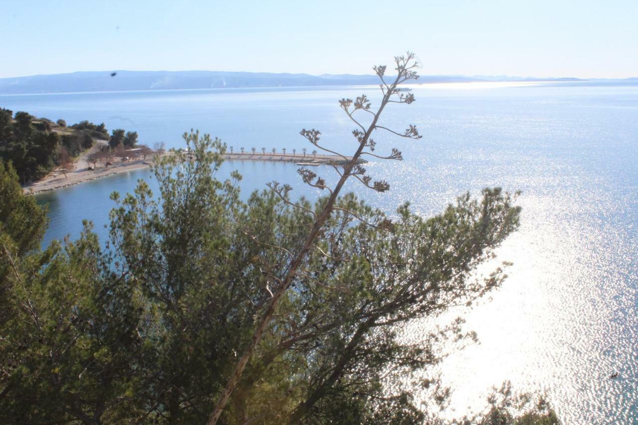 Paradise Apartment With Big Sunny Terrace In The Old Town, Few Meters From The Sea & Riva Promenade スプリト エクステリア 写真